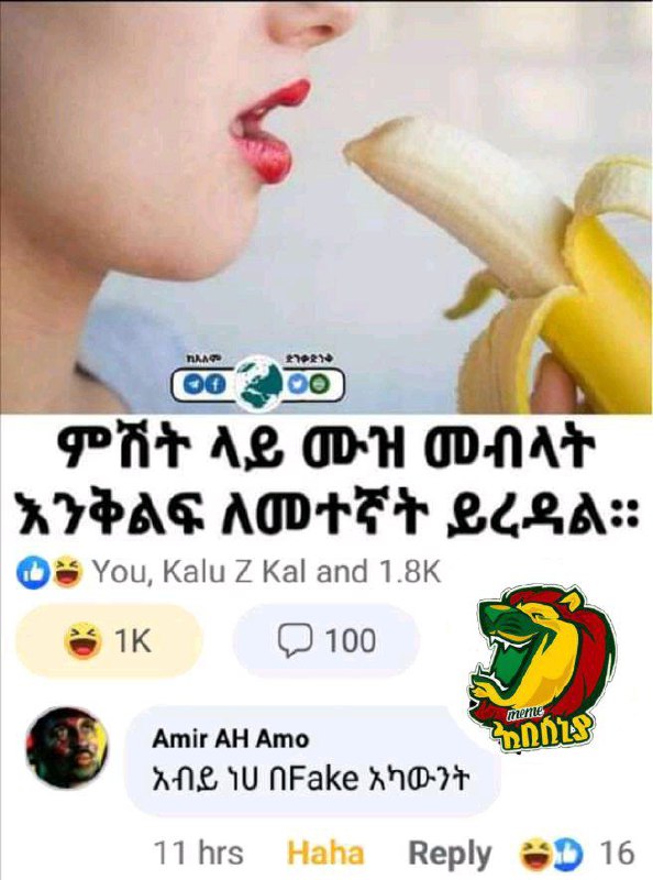 ገ1ከ8. 88ከ8 ክቹህ.%፻.16 Tihrs Haha Reply’: 16
